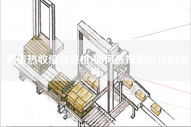 鸭蛋热收缩包装机(如何选择z适合的型号)