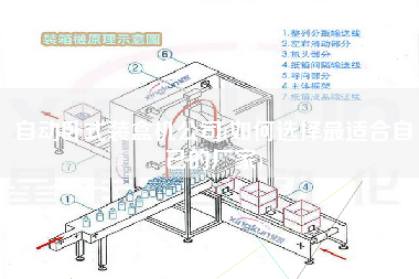 自动卧式装盒机公司(如何选择z适合自己的厂家)